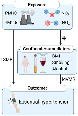 The causal effect of air pollution on the risk of essential hypertension: a Mendelian randomization study